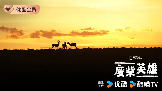电影剧照