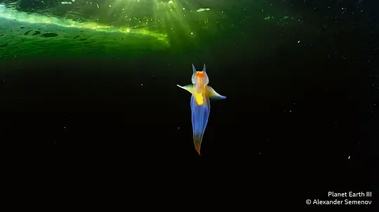 电影剧照