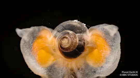电影剧照
