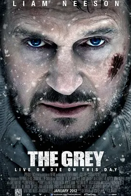 人狼大战 The Grey