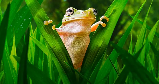 电影剧照