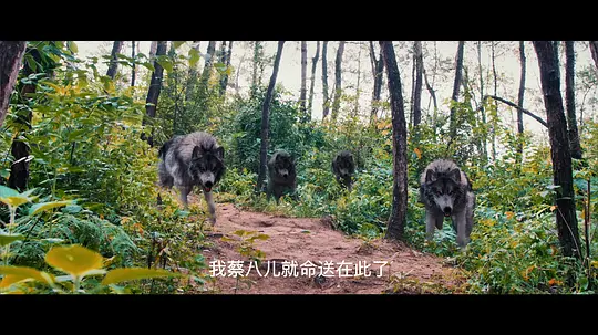 电影剧照
