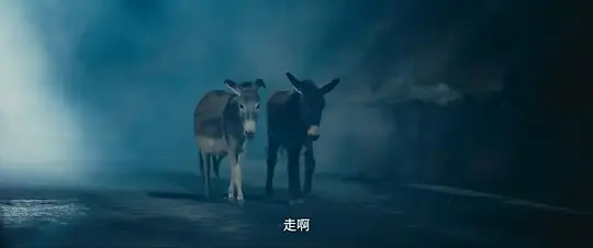 电影剧照
