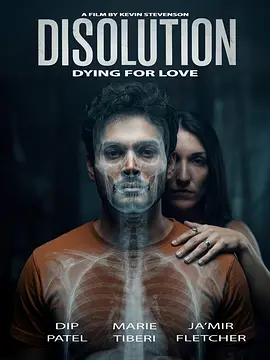 溶解 Disolution