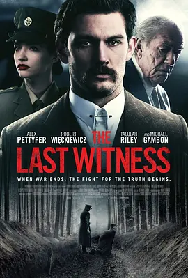 最后证人 The Last Witness