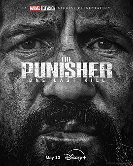 惩罚者:最后一击 The Punisher: One Last Kill